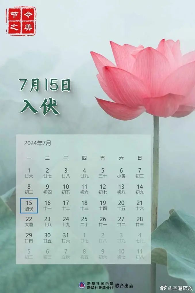 第1259页