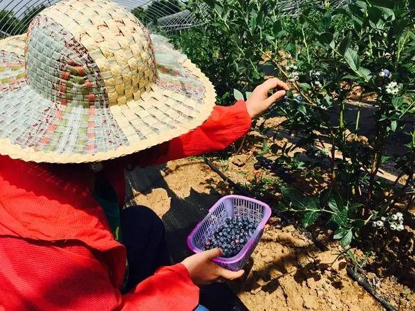 娱乐生活 第171页
